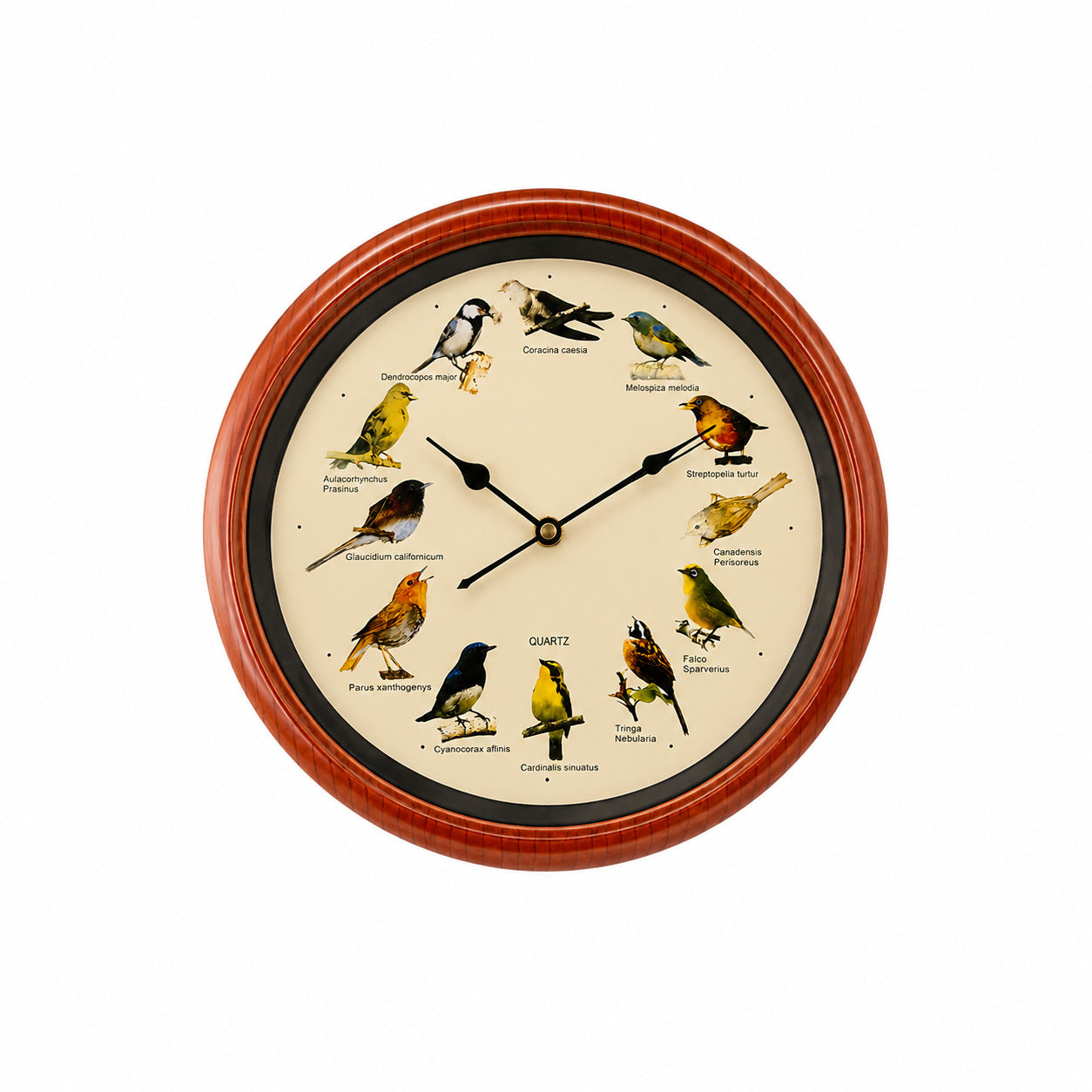 Wandklok met kleurrijk vogelmotief voor interieurdecoratie 10
