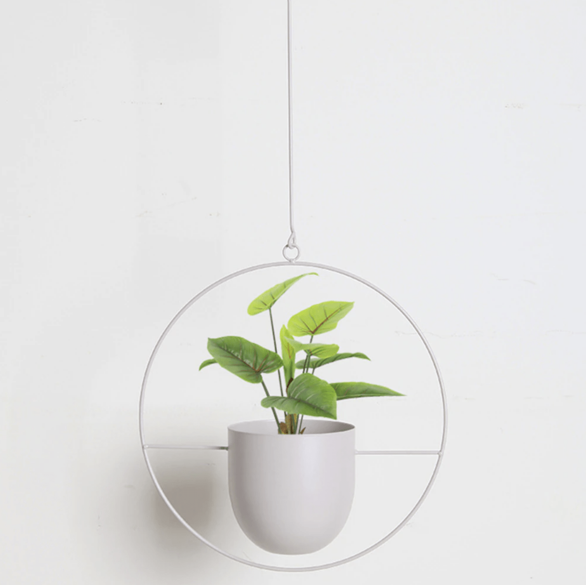 Wandplantenhanger Minimalistisch met Verstelbare Ketting 11