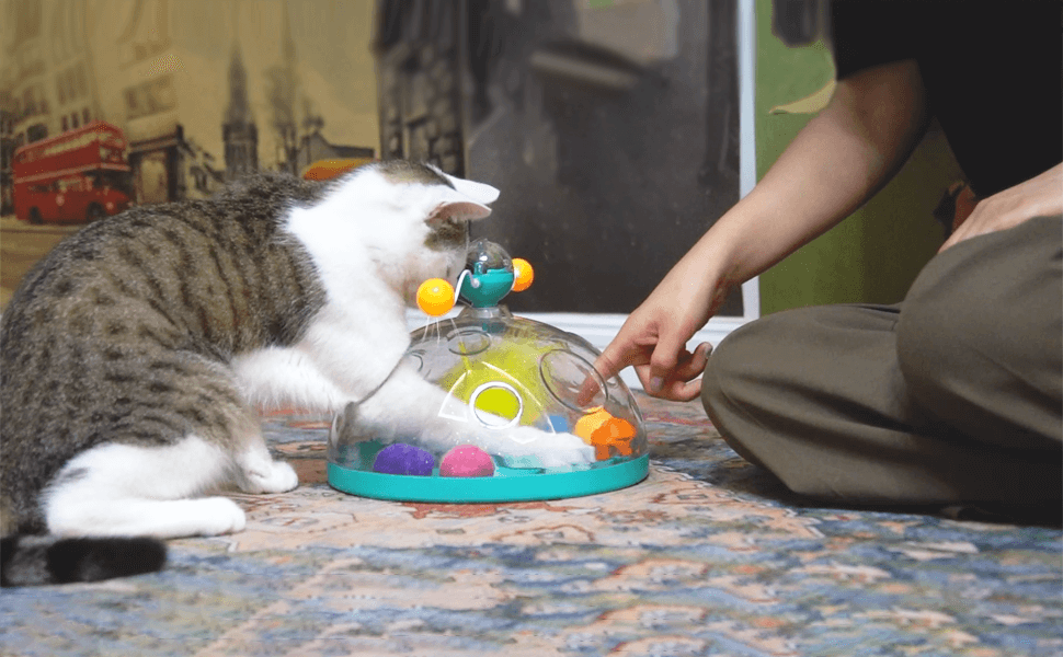 Windmolen Interactief Kattenspeelgoed