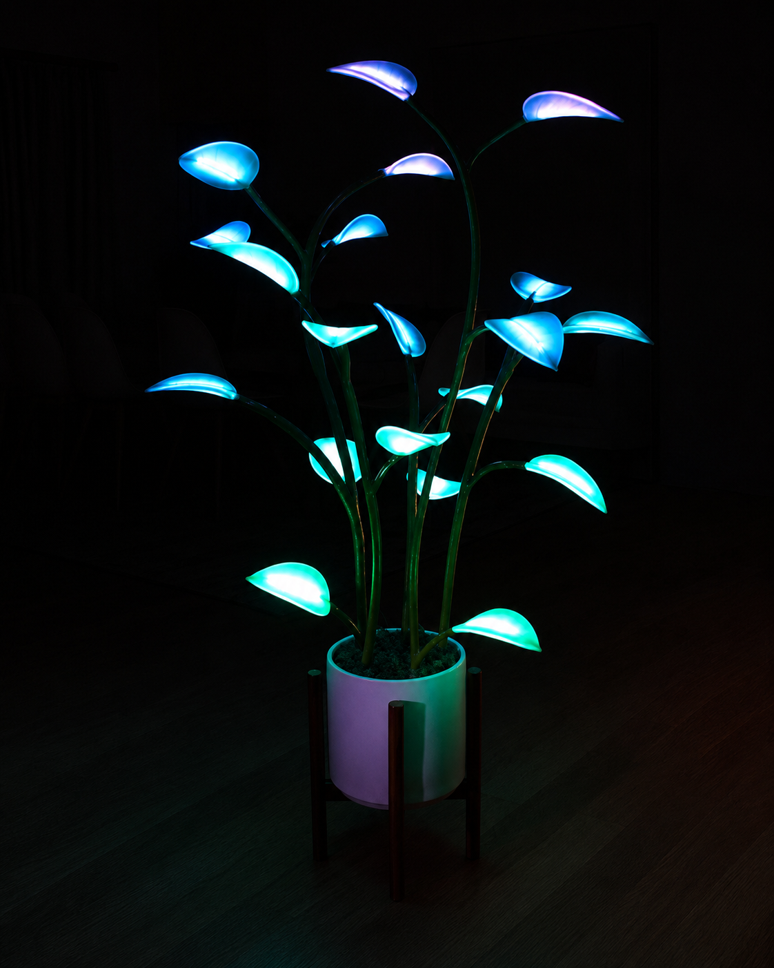 LED Plant Lamp Met Kleurovergang Decoratief Design