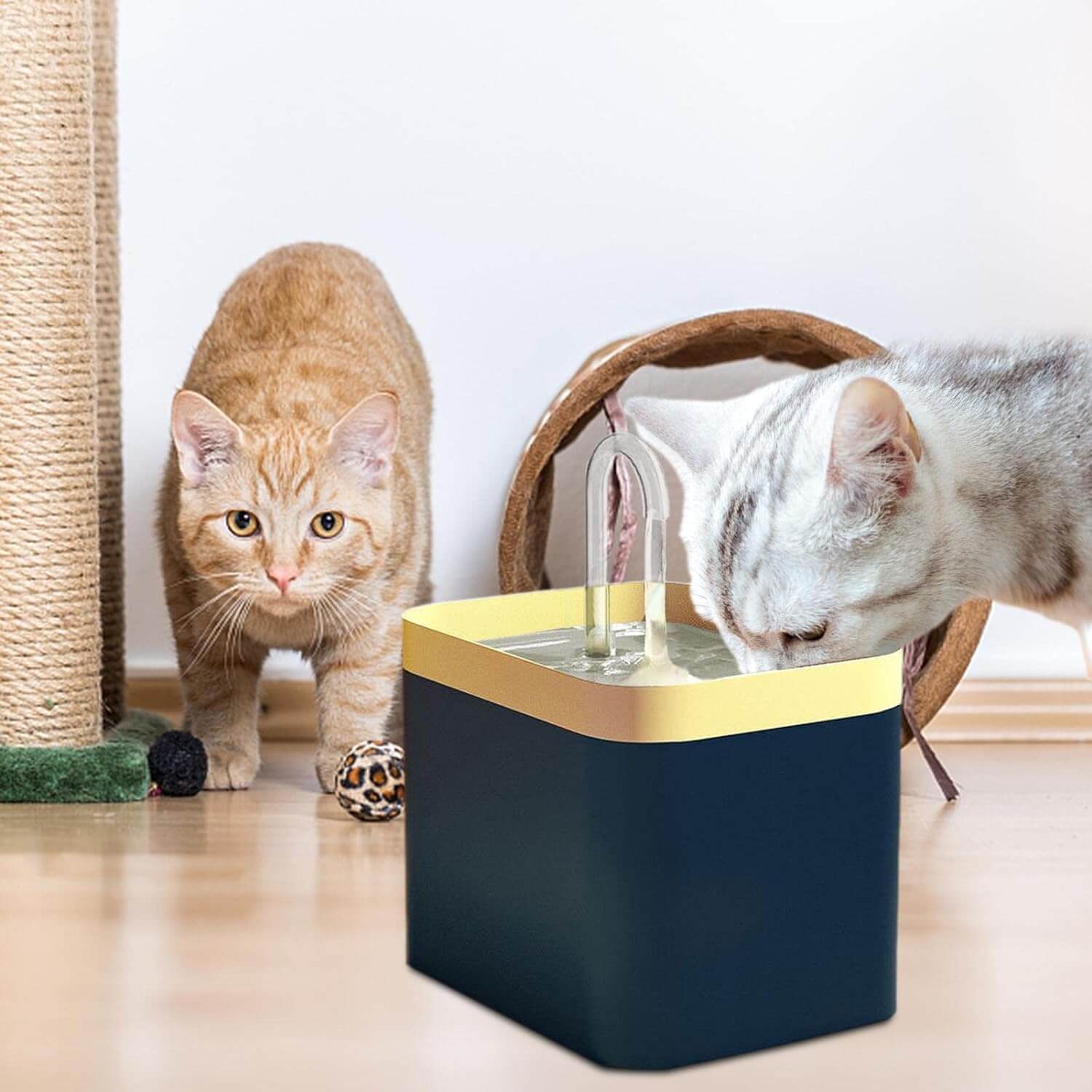 Automatische Kattenwaterfontein