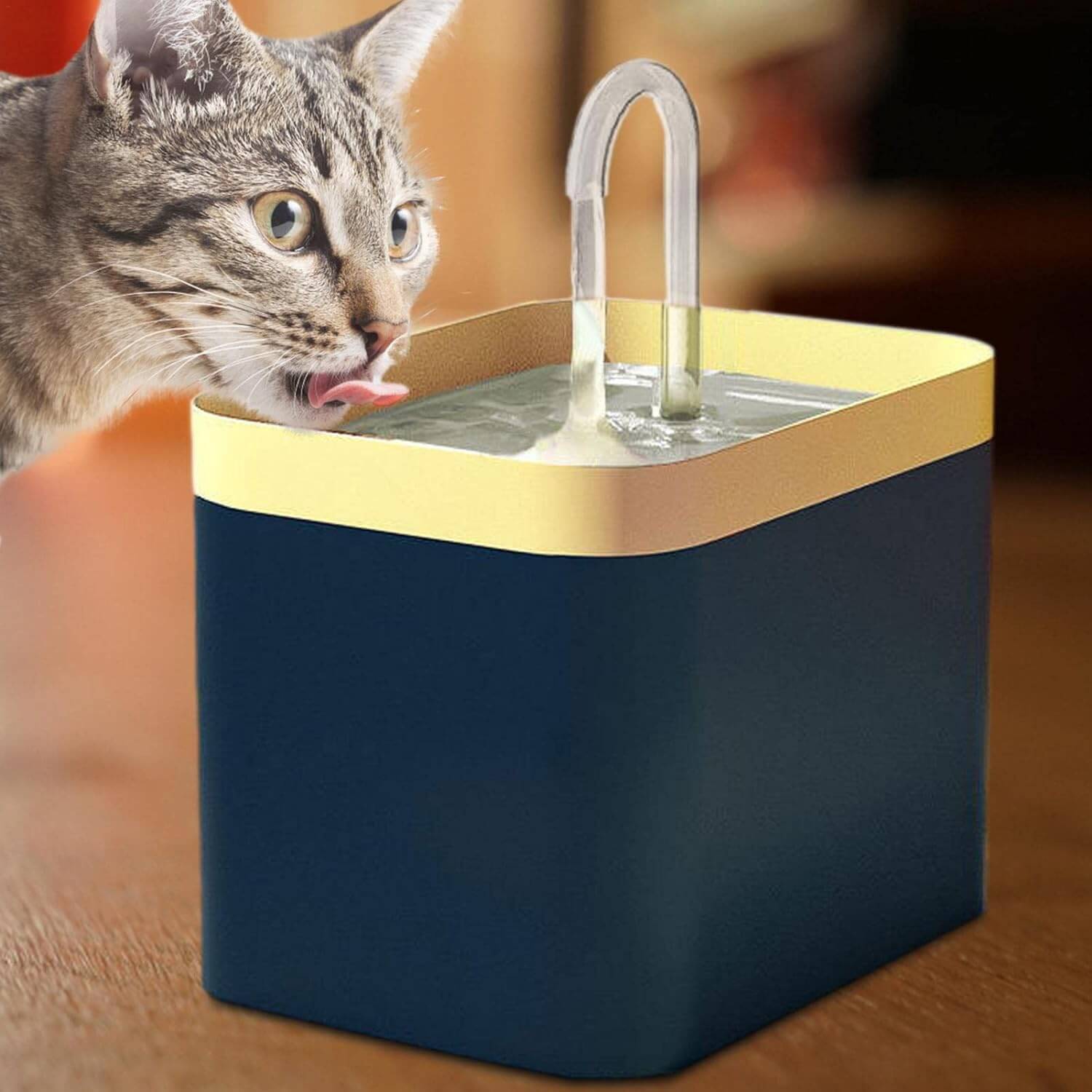 Automatische Kattenwaterfontein