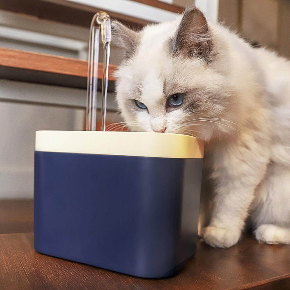 Automatische Kattenwaterfontein