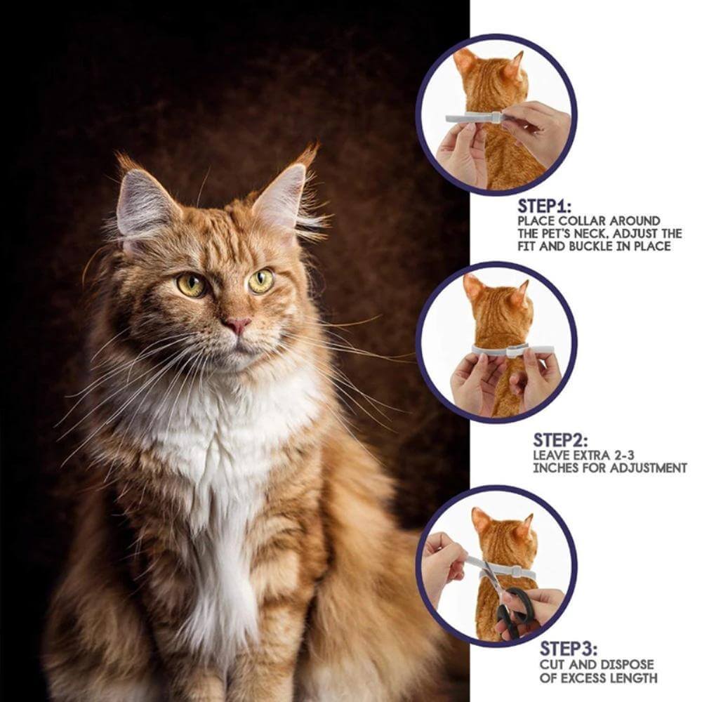 Vlooien- en Tekenhalsband Voor Honden en Katten