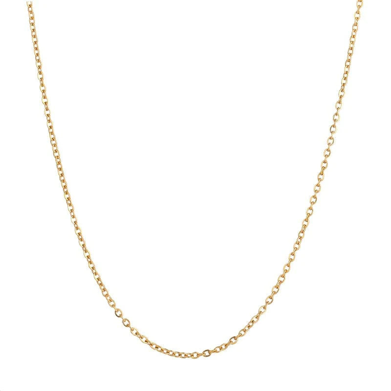 Roestvrij staal Ketting Ketting