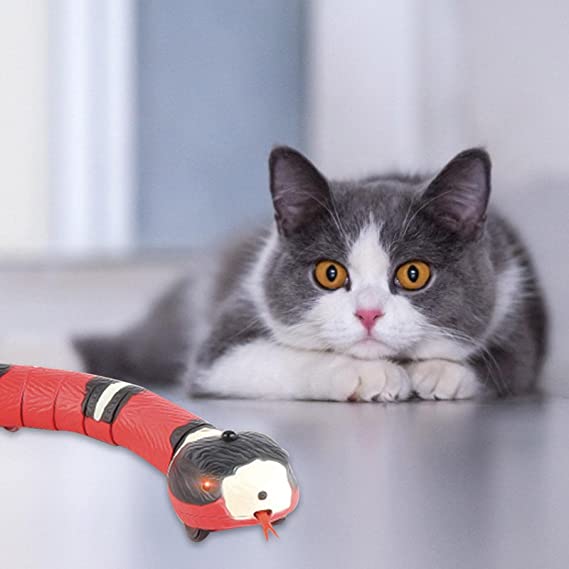 Slang Kattenspeelgoed