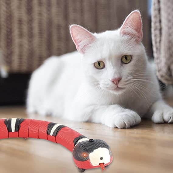Slang Kattenspeelgoed