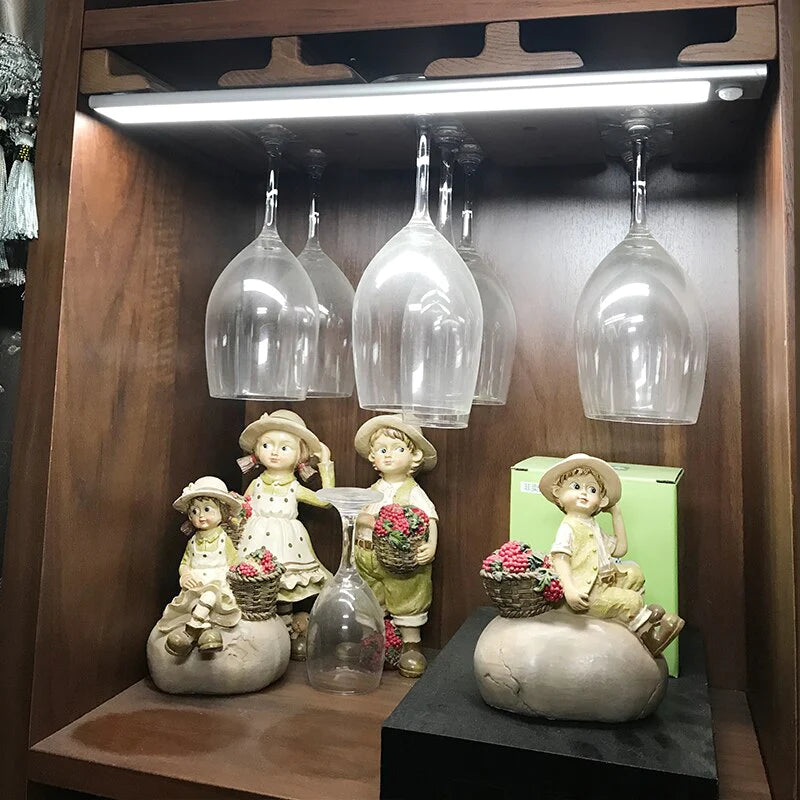 LED Clouset Light