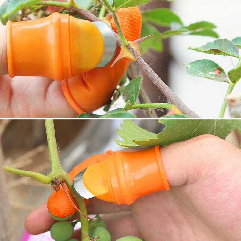 Groenteplukmes