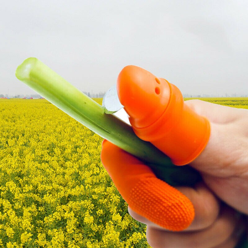 Groenteplukmes