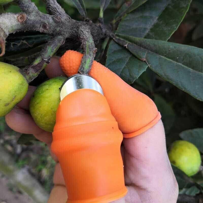 Groenteplukmes