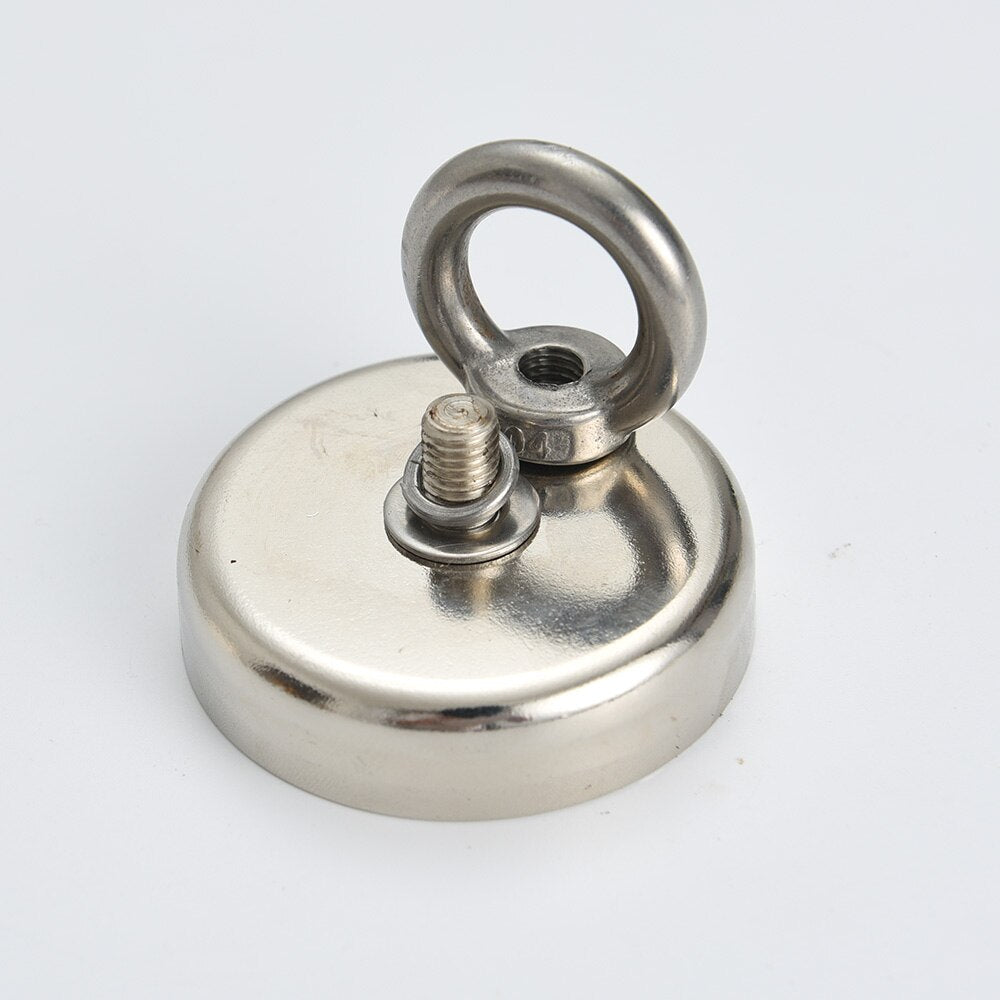 Vis magneet