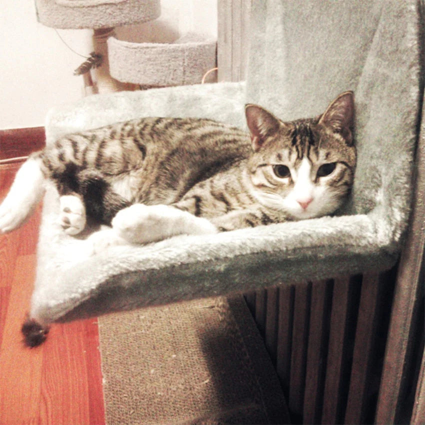 Kat Radiator Hangmat