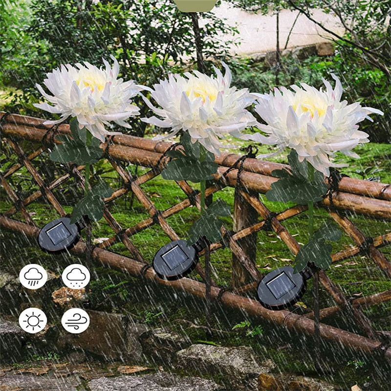 Chrysanthemum LED Zonne Licht Belleza