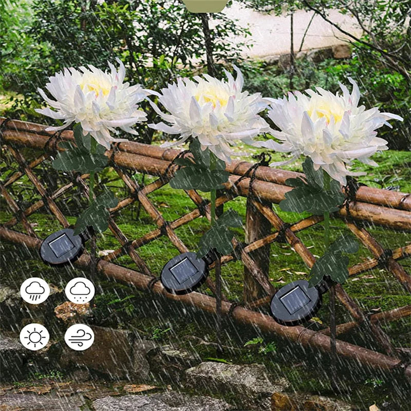 Chrysanthemum LED Zonne Licht