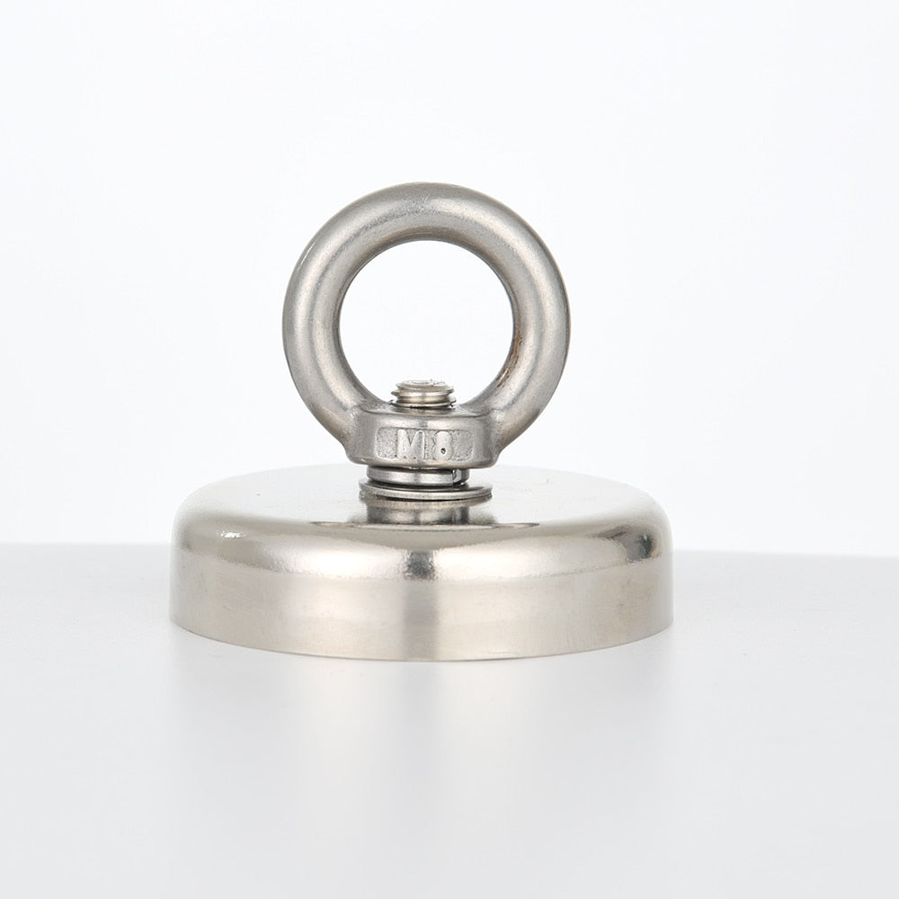 Vis magneet