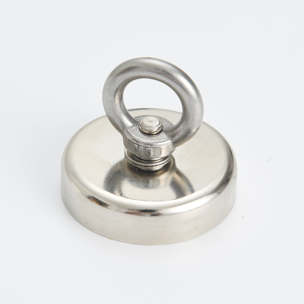 Vis magneet