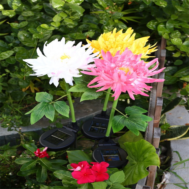 Chrysanthemum LED Zonne Licht Belleza