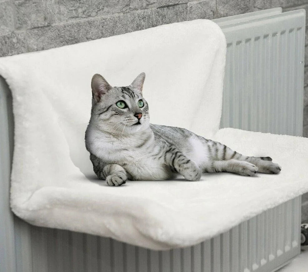 Kat Radiator Hangmat