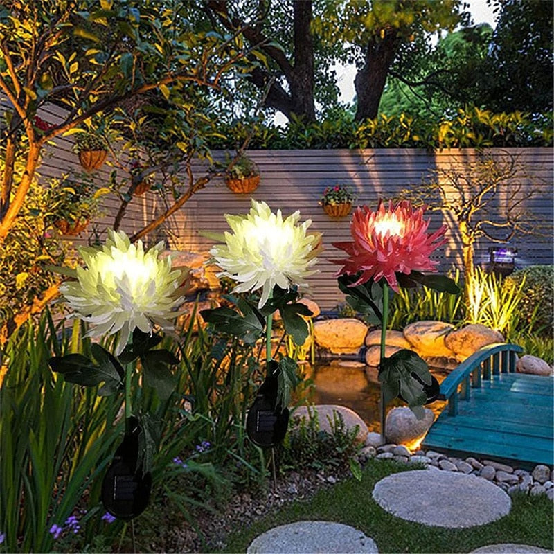 Chrysanthemum LED Zonne Licht Belleza
