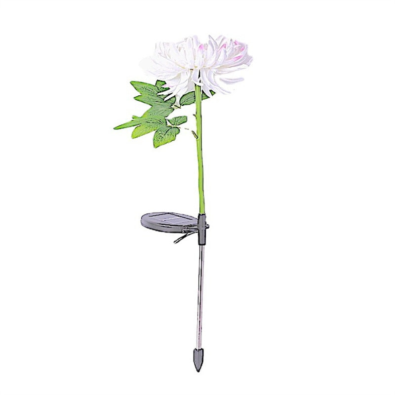 Chrysanthemum LED Zonne Licht Belleza