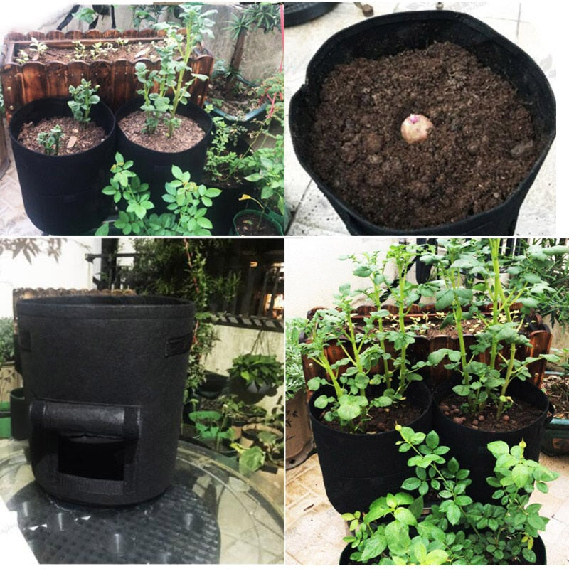Planten Groeizak