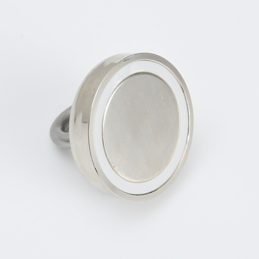 Vis magneet