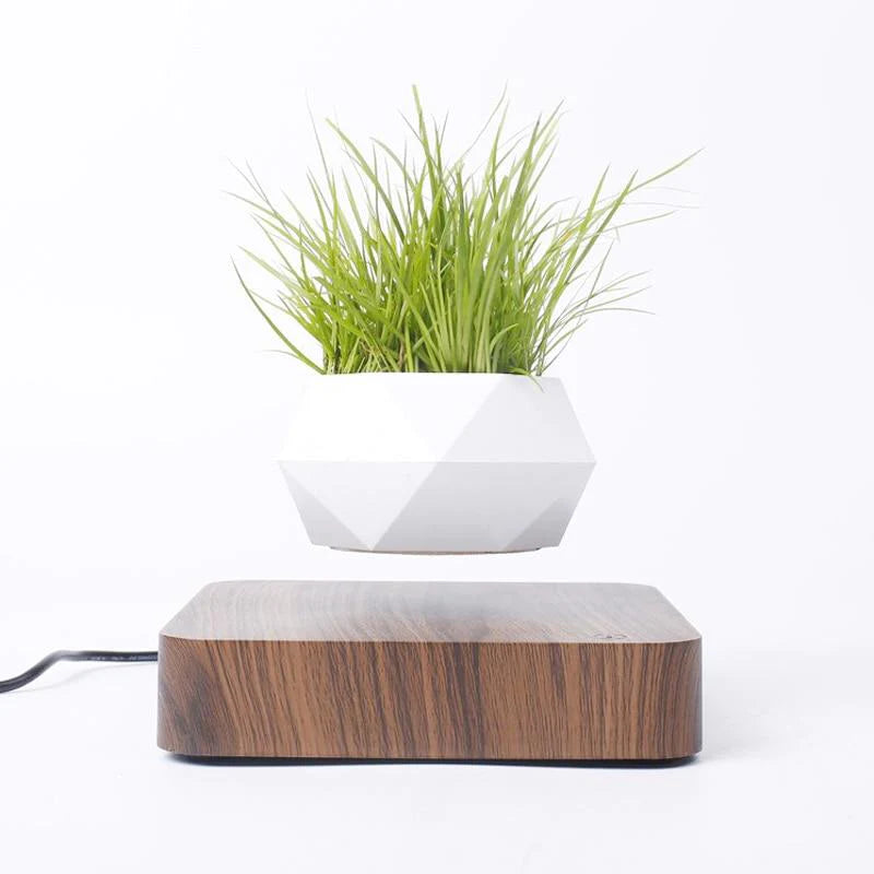 Heflucht Bonsai Pot
