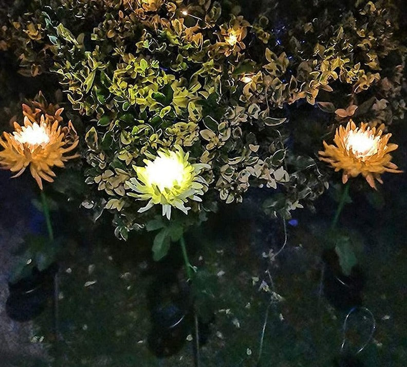 Chrysanthemum LED Zonne Licht Belleza