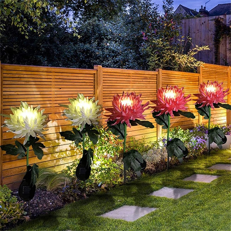 Chrysanthemum LED Zonne Licht Belleza