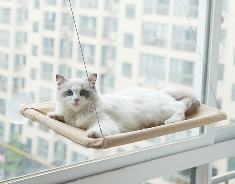 Kattenraam Hangmat