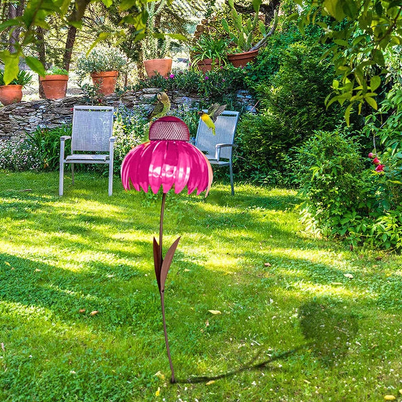Coneflower Vogel Voederhuisje