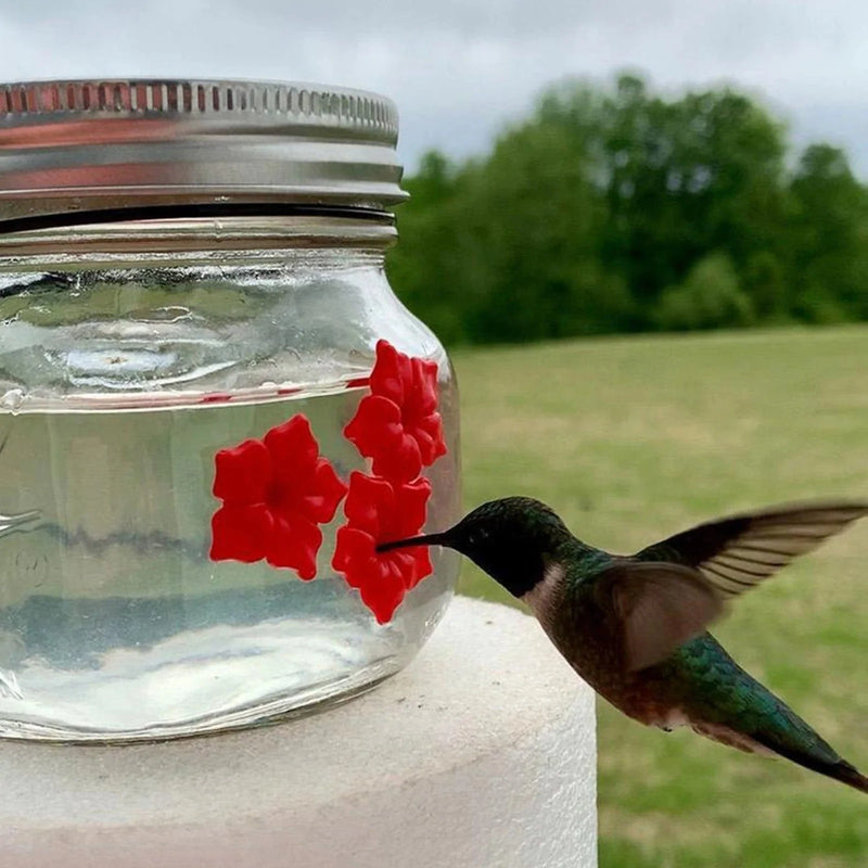 Kolibrie voederpot met poortbloem