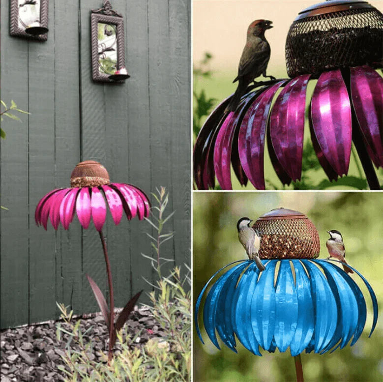 Coneflower Vogel Voederhuisje