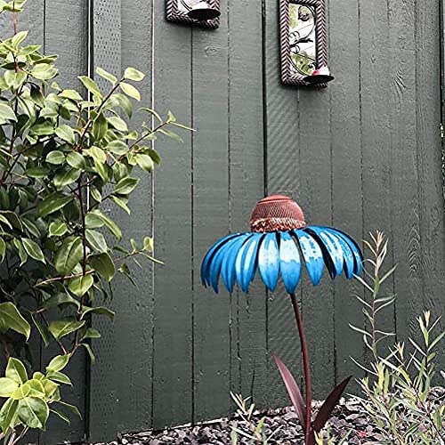 Coneflower Vogel Voederhuisje