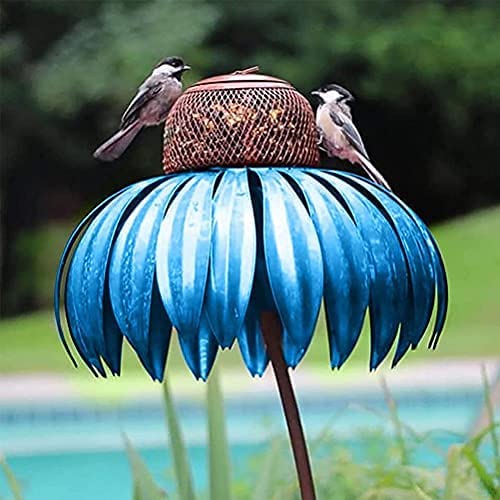 Coneflower Vogel Voederhuisje