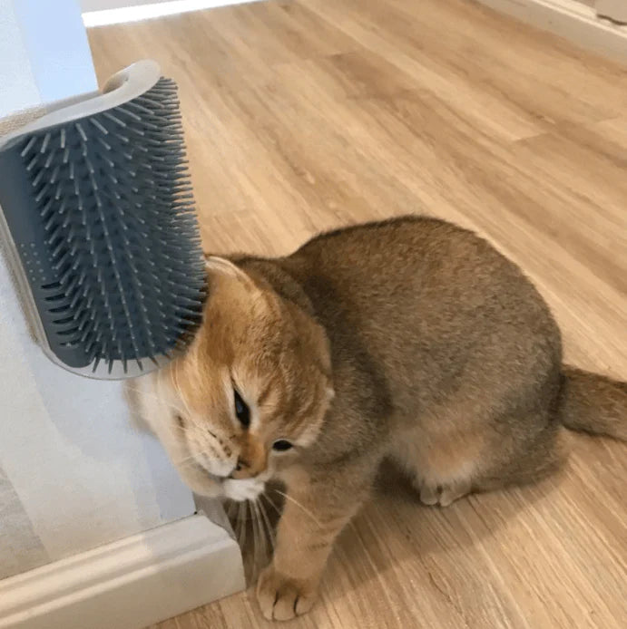 Kattenhoek Groomer