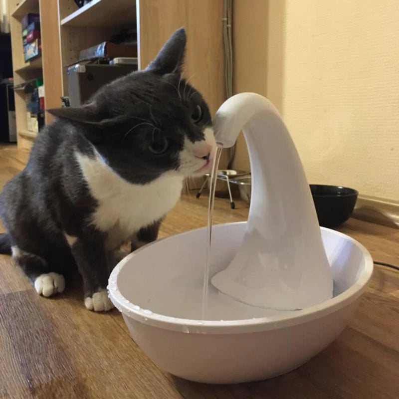 Premium automatische drinkfontein voor katten