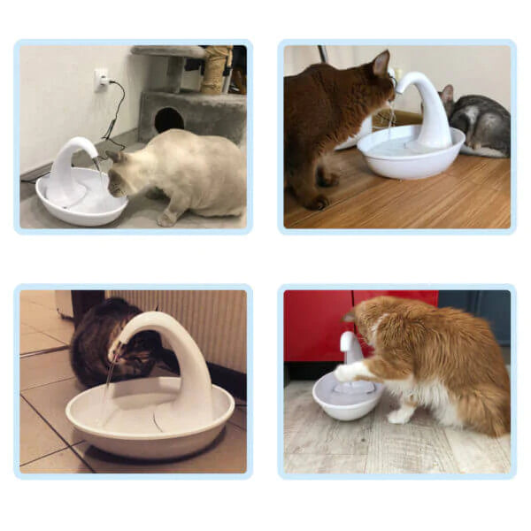 Premium automatische drinkfontein voor katten