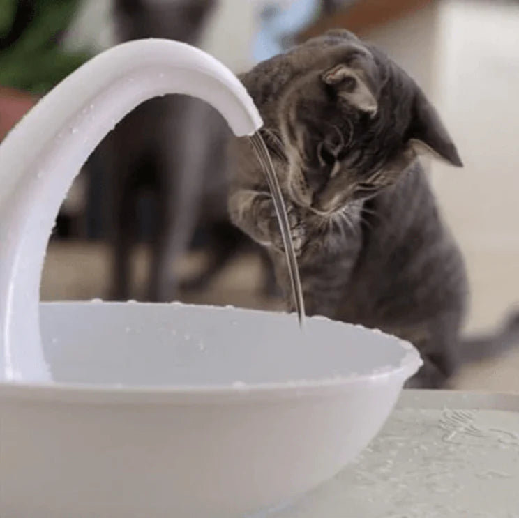 Premium automatische drinkfontein voor katten