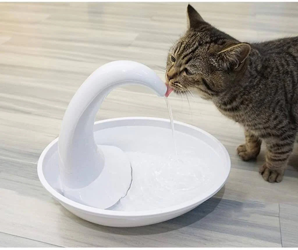Premium automatische drinkfontein voor katten