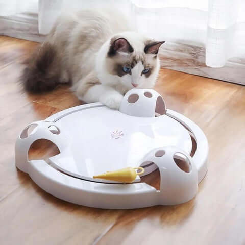 Pounce Kattenspeeltje