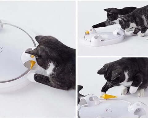 Pounce Kattenspeeltje