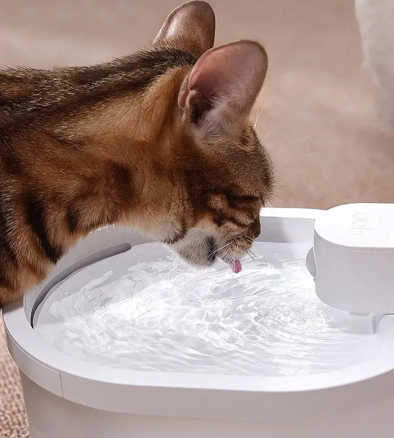 Smart Sensor Kattenwaterfontein