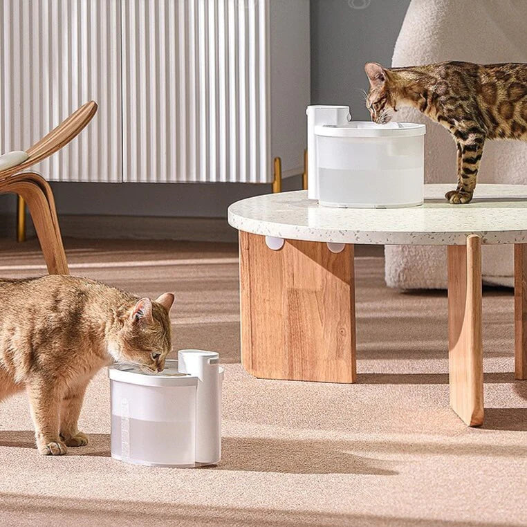 Smart Sensor Kattenwaterfontein