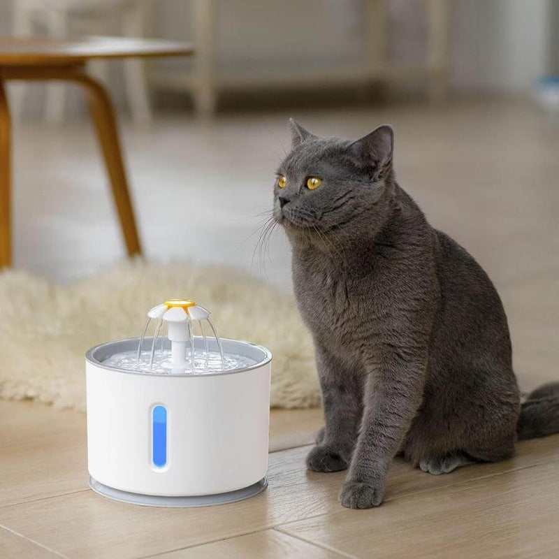 Hydratatie Katten Waterfontijn