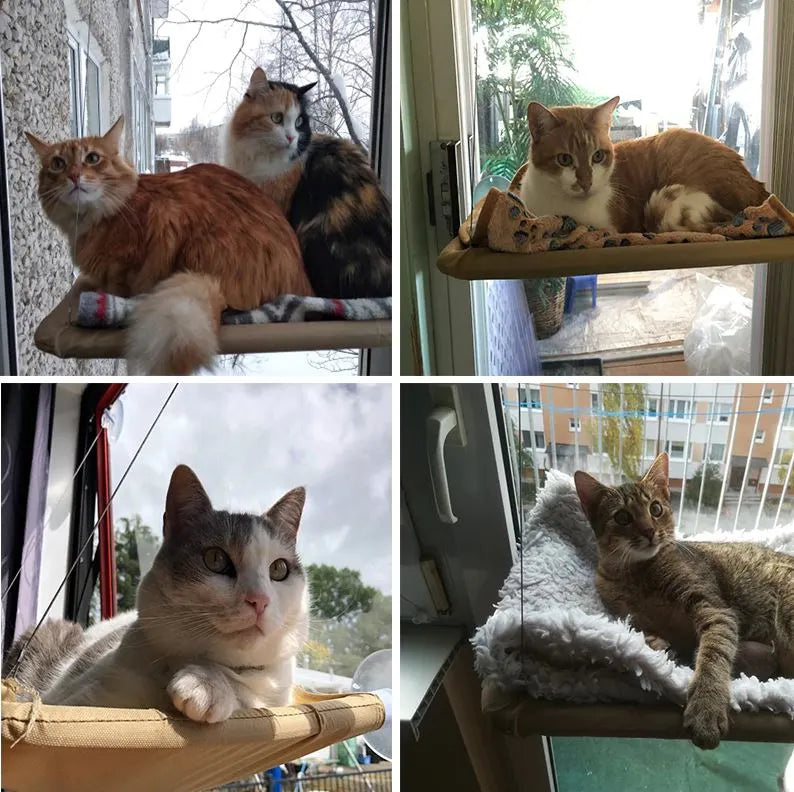 Kattenraam Hangmat