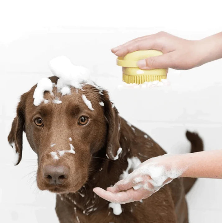 Honden Badborstel