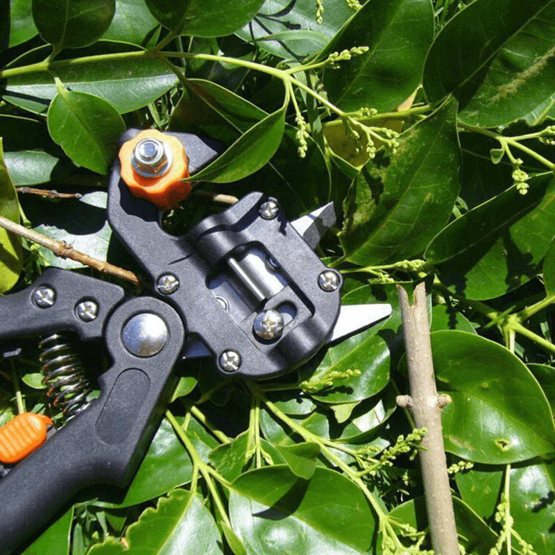 Tuin Enting Tool