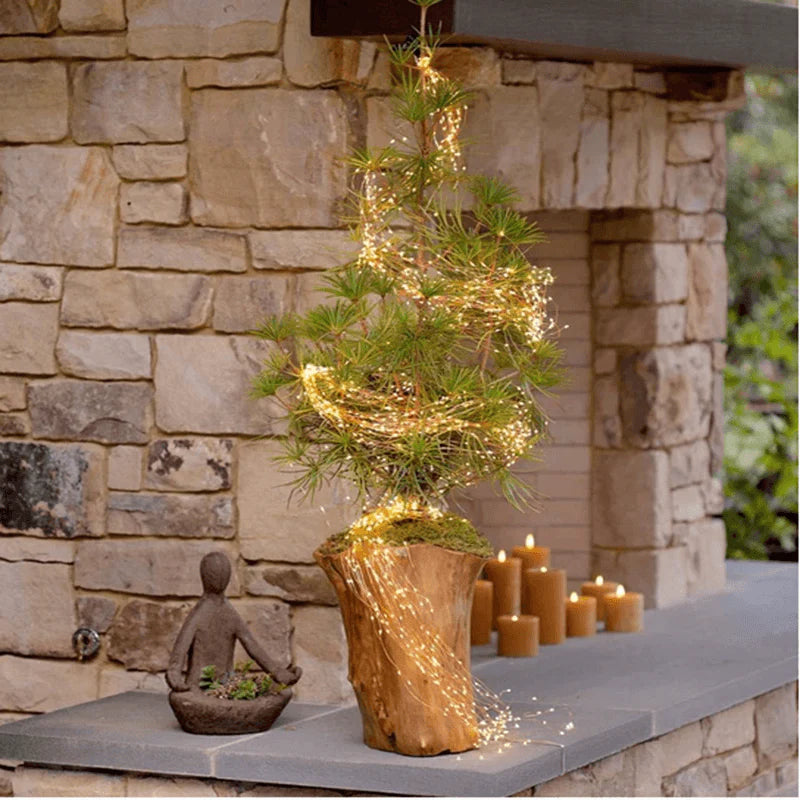 Fairy Branch Lights